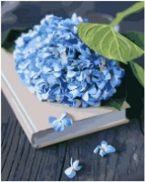 Tablou pe numere Strateg Голубая гортензия (GS1393)