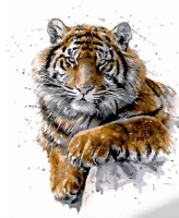 Tablou pe numere Strateg Грозный тигр (GS1061)