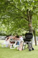 Гриль Barbecook Magnus Original (BC-CHA-1067) фото №8 — интернет-магазин Desire.md