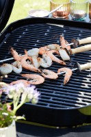 Gratar Barbecook Magnus Premium (BC-CHA-1069) imaginea #3 — magazin online Desire.md