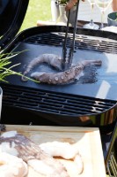 Gratar Barbecook Magnus Premium (BC-CHA-1069) imaginea #4 — magazin online Desire.md