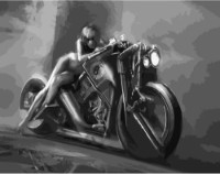 Tablou pe numere Strateg Девушка на байке (DY207)