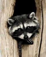 Tablou pe numere Strateg Загадочный енот (GS1125)