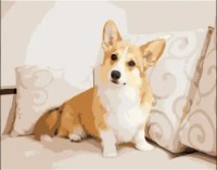 Tablou pe numere Strateg Корги на диване (DY274)