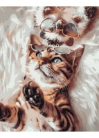 Tablou pe numere Strateg Котик с ежиком (GS1049)