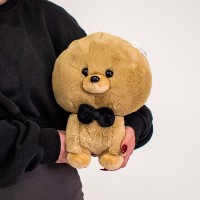 Мягкая игрушка Limun Pudel DRM-10 Brown фото №2 — интернет-магазин Desire.md