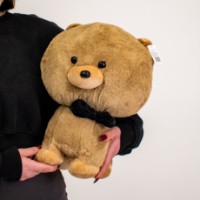 Мягкая игрушка Limun Pudel DRM-9 Brown фото №2 — интернет-магазин Desire.md