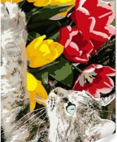 Tablou pe numere Strateg Котик с тюльпанами (SS1107)