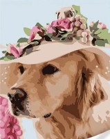 Tablou pe numere Strateg Лабрадор в шляпе (SS1133)