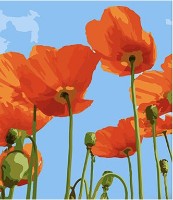 Tablou pe numere Strateg Маки в небе (SS1007)