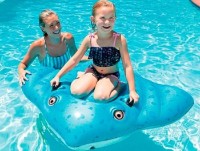 Plută de înot Intex 57576 imaginea #2 — magazin online Desire.md