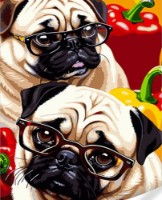 Tablou pe numere Strateg Мопсы с перчинкой (GS1624)