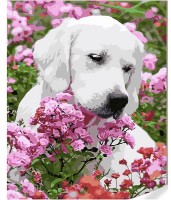 Tablou pe numere Strateg Озорник (GS1635)