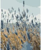 Tablou pe numere Strateg Полевые цветы (GS923)