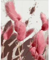 Tablou pe numere Strateg Розовые колосья (DY395)