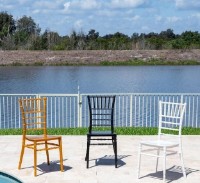 Стул Rainbow Napoleon Black фото №2 — интернет-магазин Desire.md