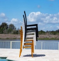 Стул Rainbow Napoleon Black фото №3 — интернет-магазин Desire.md