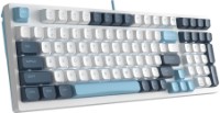 Tastatură A4Tech FS300 Panda Snowboarding imaginea #2 — magazin online Desire.md