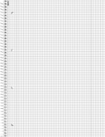 Тетрадь Brunnen A4/80p Student Color Code Silver фото №2 — интернет-магазин Desire.md