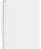 Тетрадь Brunnen A5/80p Premium Student Anthracite фото №2 — интернет-магазин Desire.md