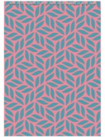 Caiet Delta A4 48p D8013-05