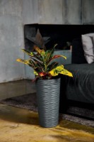 Ghiveci Aleana 115046 Fiujn 22x41.5cm imaginea #2 — magazin online Desire.md