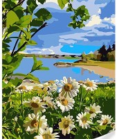 Tablou pe numere Strateg Ромашки на берегу озера (SS1033)