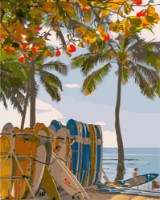 Tablou pe numere Strateg Серфинг на Гавайях (GS1278)