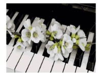 Tablou pe numere Strateg Цветы на пианино (DY031)
