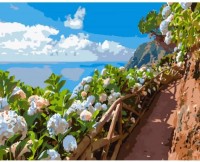 Tablou pe numere Strateg Цветы у тропинки (GS1011)