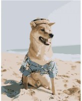 Tablou pe numere Strateg Шиба-ину на пляже (DY110)