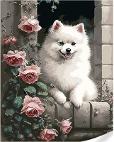 Tablou pe numere Strateg Шпиц на подоконнике (GS1630)