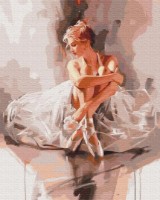 Tablou pe numere Brushme Балерина в облаке нежности (BS52894) imaginea #1 — magazin online Desire.md