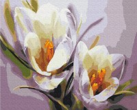 Tablou pe numere Brushme Крокусы (BS5828)