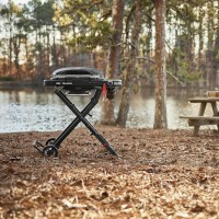 Газовый гриль Weber Traveler Compact фото №7 — интернет-магазин Desire.md