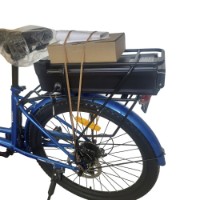 Электровелосипед Tronix VE-01 24 INCH CF-40 фото №2 — интернет-магазин Desire.md