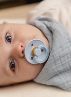 Suzeta BIBS Baby Try-It Collection 4 Pack 0+ months Baby Blue (91342) imaginea #3 — magazin online Desire.md