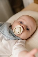 Пустышка BIBS Baby Try-It Collection 4 Pack 0+ months Ivory (91340) фото №2 — интернет-магазин Desire.md