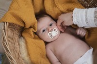 Suzeta BIBS Baby Try-It Collection 4 Pack 0+ months Vanilla (91344) imaginea #3 — magazin online Desire.md