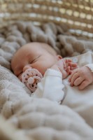 Пустышка BIBS Boheme 2 Pack 0+ months Dark Oak/Blush (230109) фото №2 — интернет-магазин Desire.md