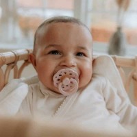 Suzeta BIBS Boheme 2 Pack 0+ months Woodchuck/Blush (230102) imaginea #4 — magazin online Desire.md