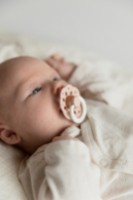 Suzeta BIBS Boheme Glow 0+ months Blush (210256C) imaginea #3 — magazin online Desire.md