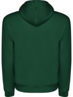 Hanorac pentru bărbați Roly Capucha 1087 Bottle Green, s.XXL imaginea #2 — magazin online Desire.md