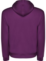 Hanorac pentru bărbați Roly Capucha 1087 Purple, s.XL imaginea #2 — magazin online Desire.md