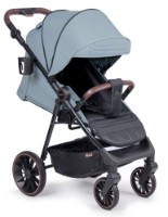 Коляска Coletto Dizzi Mint
