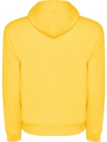 Мужская толстовка Roly Capucha 1087 Yellow, s.M фото №2 — интернет-магазин Desire.md