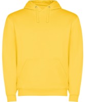 Hanorac pentru bărbați Roly Capucha 1087 Yellow, s.XL imaginea #1 — magazin online Desire.md