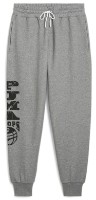 Pantaloni spotivi pentru bărbați Puma Posterize 2.0 Pant Medium Gray Heather, s.XXL imaginea #1 — magazin online Desire.md