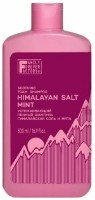 Șampon pentru păr Family Forever Himalayan Salt & Mint Shampoo 500ml imaginea #1 — magazin online Desire.md