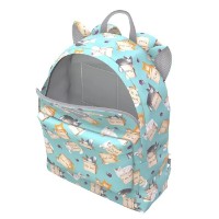 Школьный рюкзак Erich Krause Easyline 48476 17L Cat & Box фото №6 — интернет-магазин Desire.md